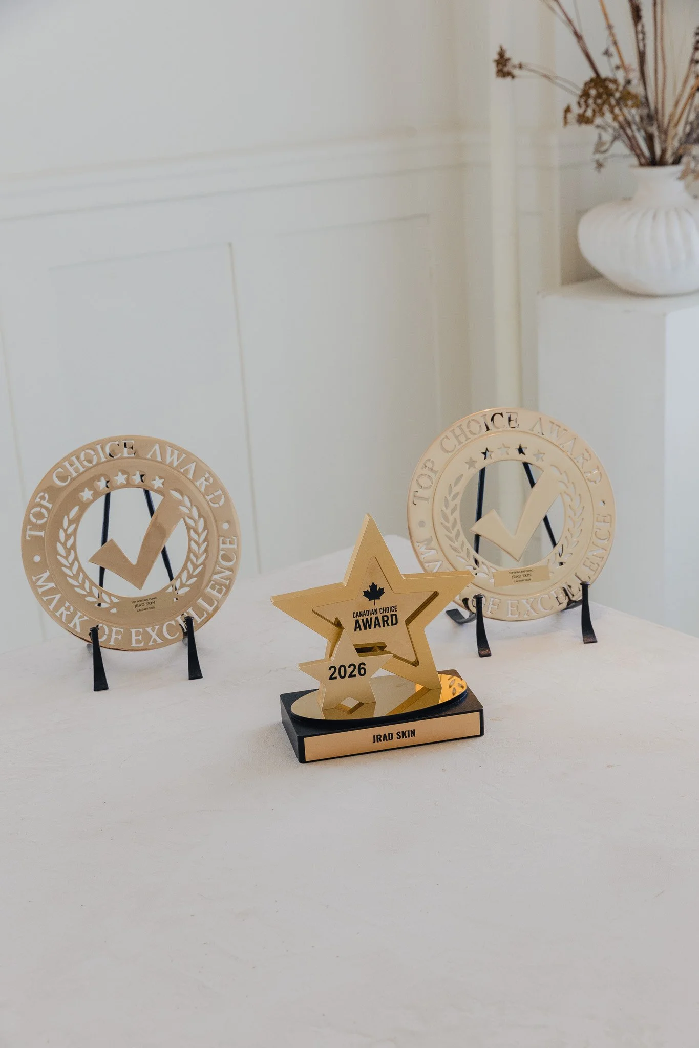 Three JRAD SKIN award trophies displayed in the clinic