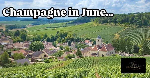 🌍Where would you like to take your next journey? We can take you there!

🌟Link in Bio

#champagne #italy #southafrica  #travel #journey #livingmybestlife #explore #trysomething