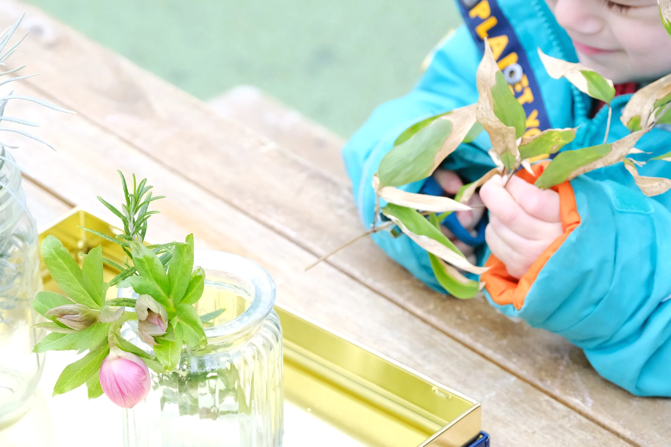 Child holding green leaves