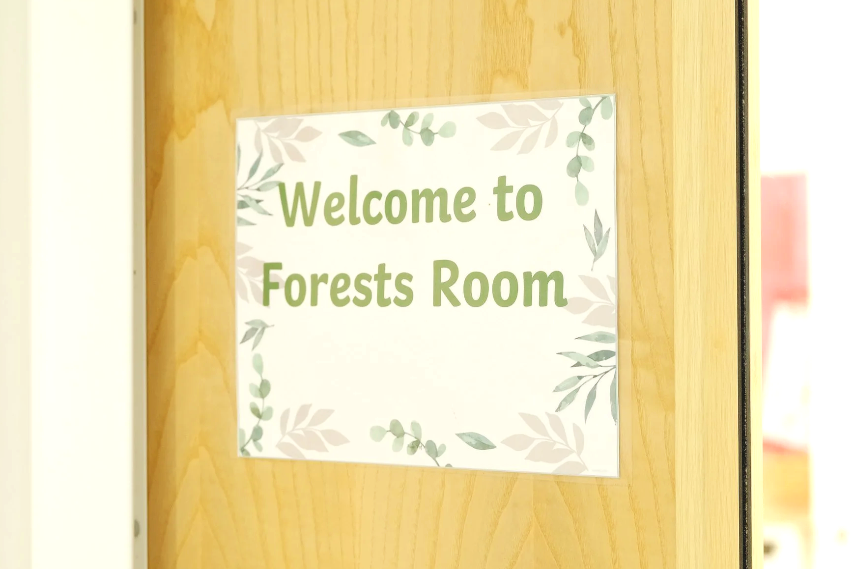 Welcome to Forests Room