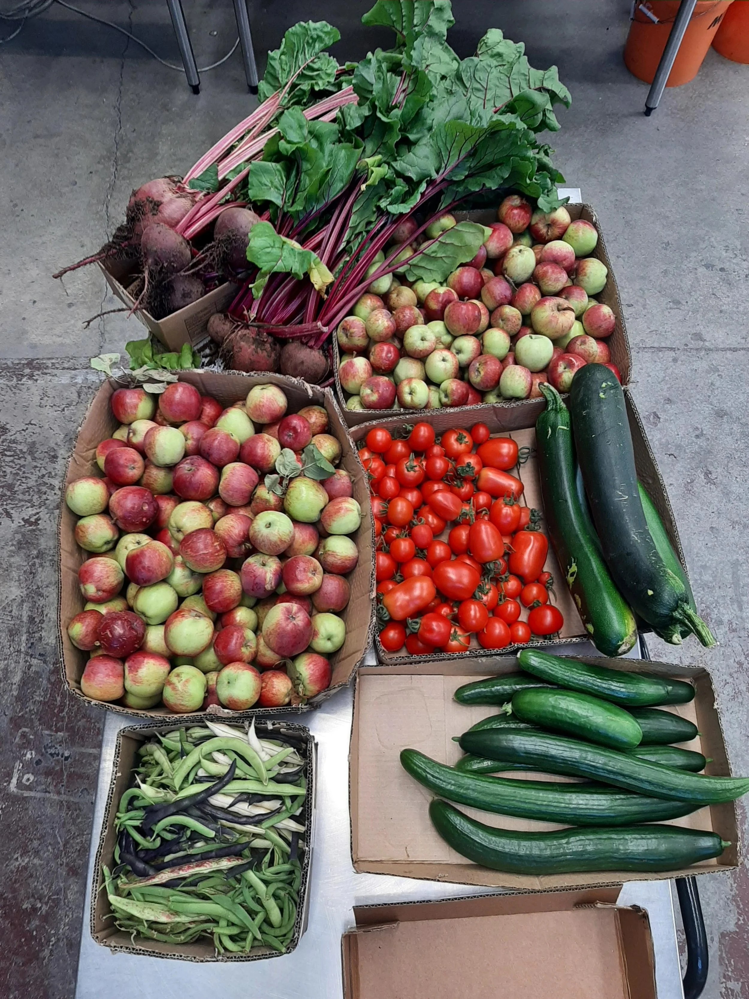 Pallet of fresh fruit and vegetables