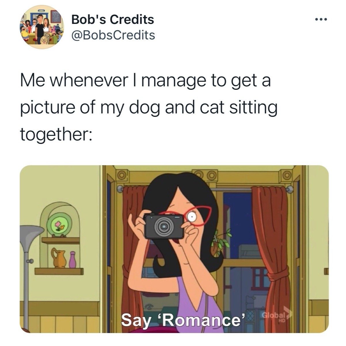 Best-Bobs-Burgers-Memes-Funny-Memes-Dog-Cat.JPG