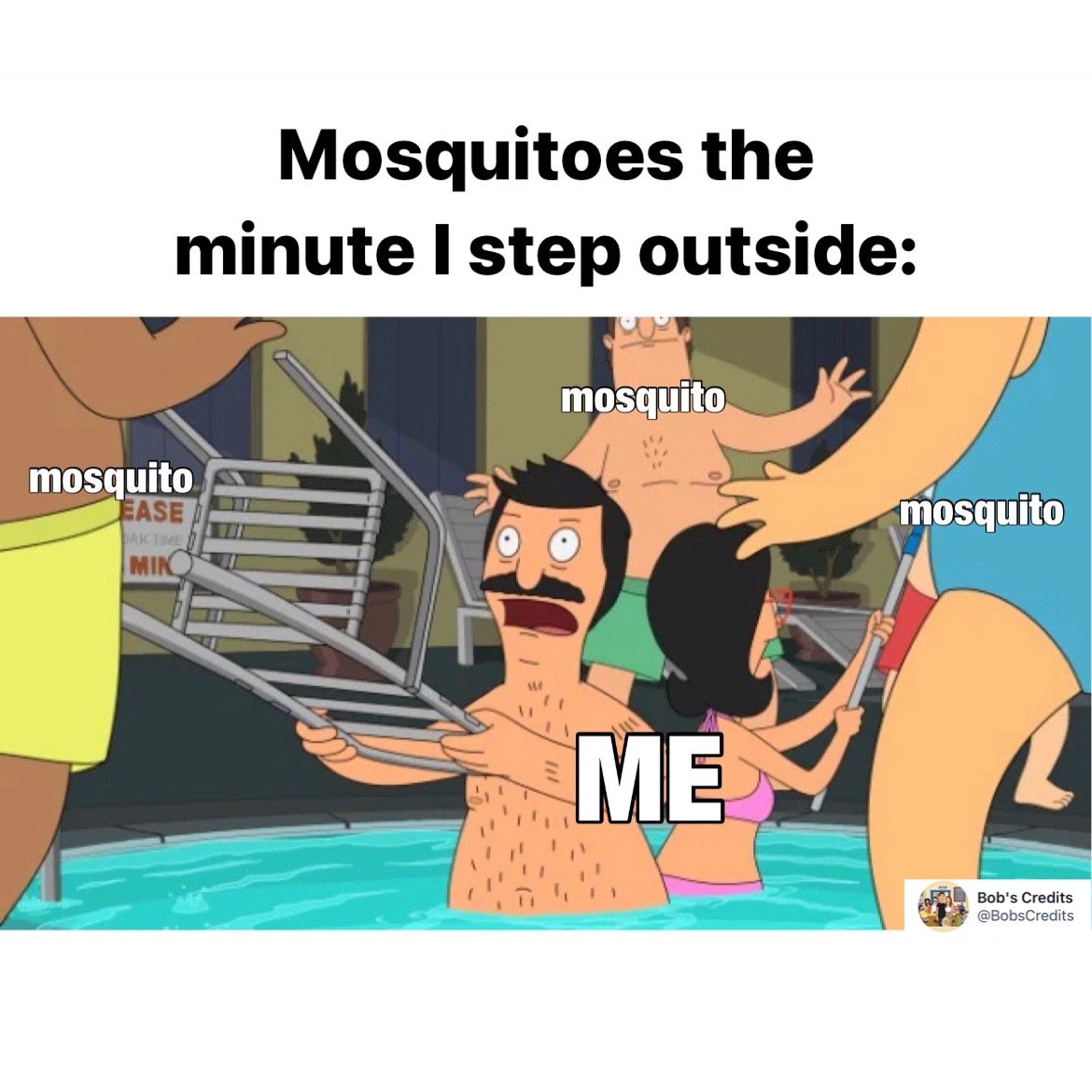 Best-Bobs-Burgers-Memes-Funny-Memes-mosquitoes-when-i-step-outside.JPG