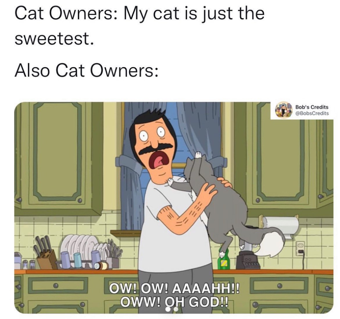14-Best-Bobs-Burgers-Memes-Moments-cat-owners.jpg