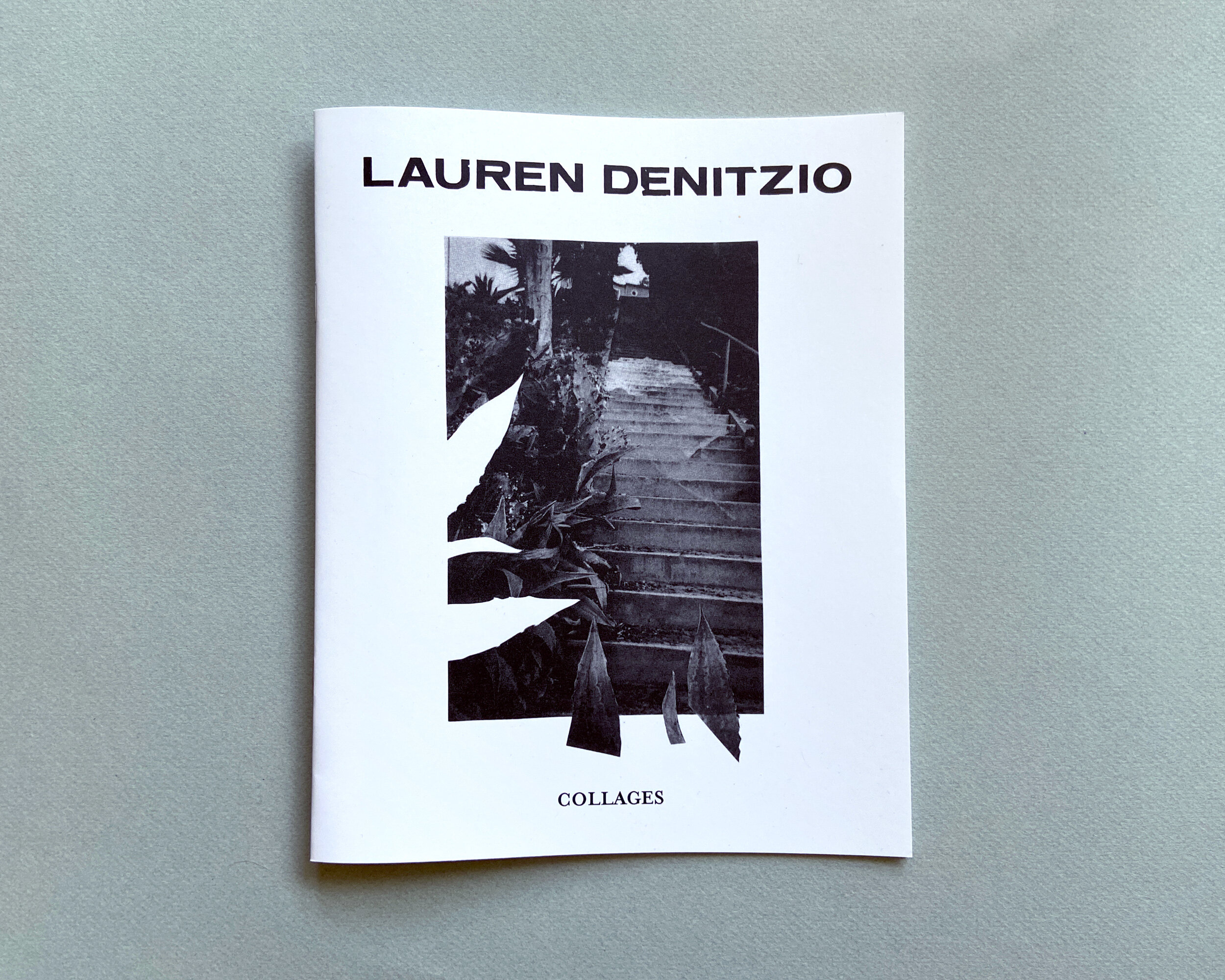 Lauren Denitzio collages zine