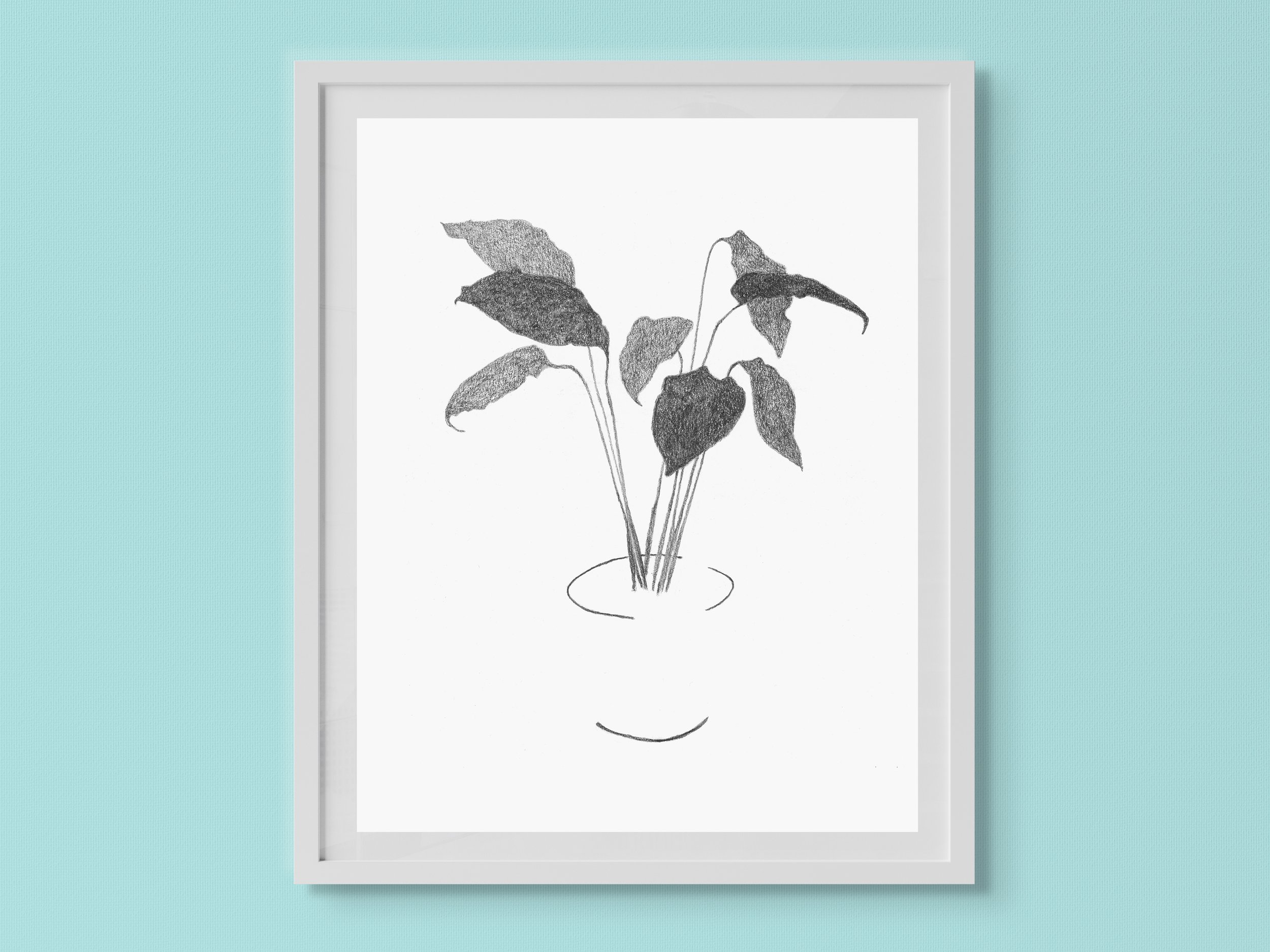 Fine art print of a silhouette of a peace lily houseplant