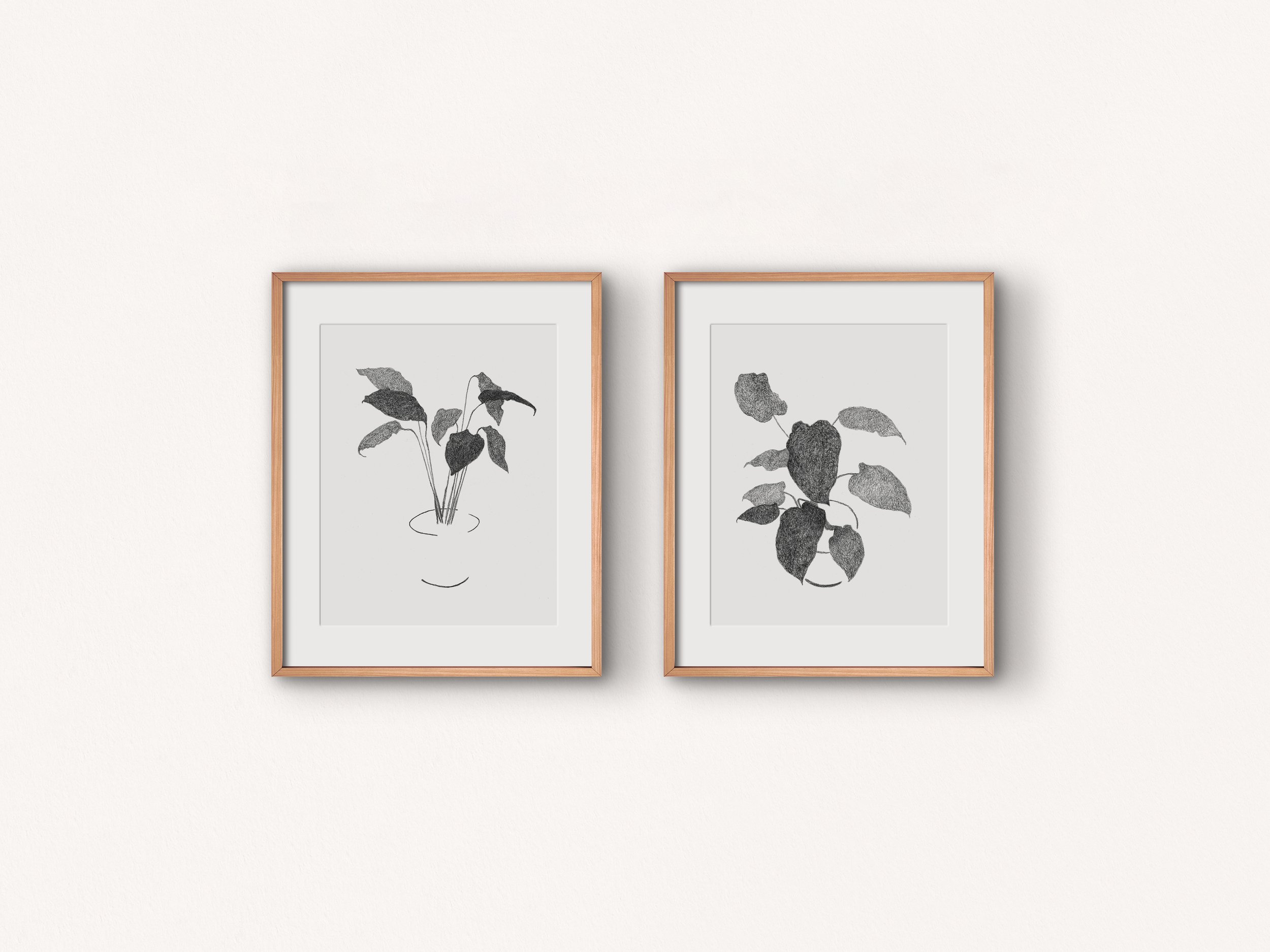 PlantPrints_duo.jpg