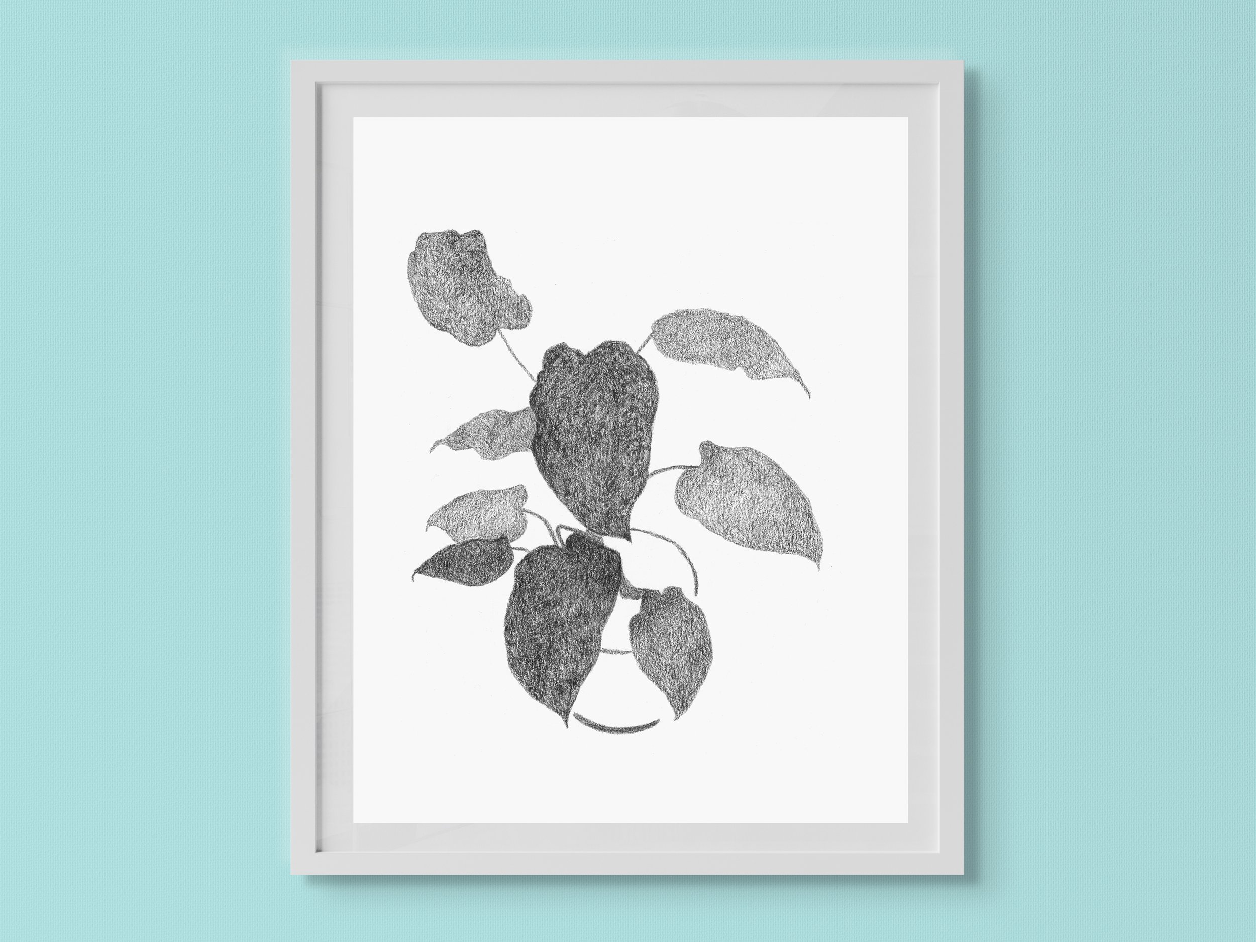 Plant2_Frame.jpg