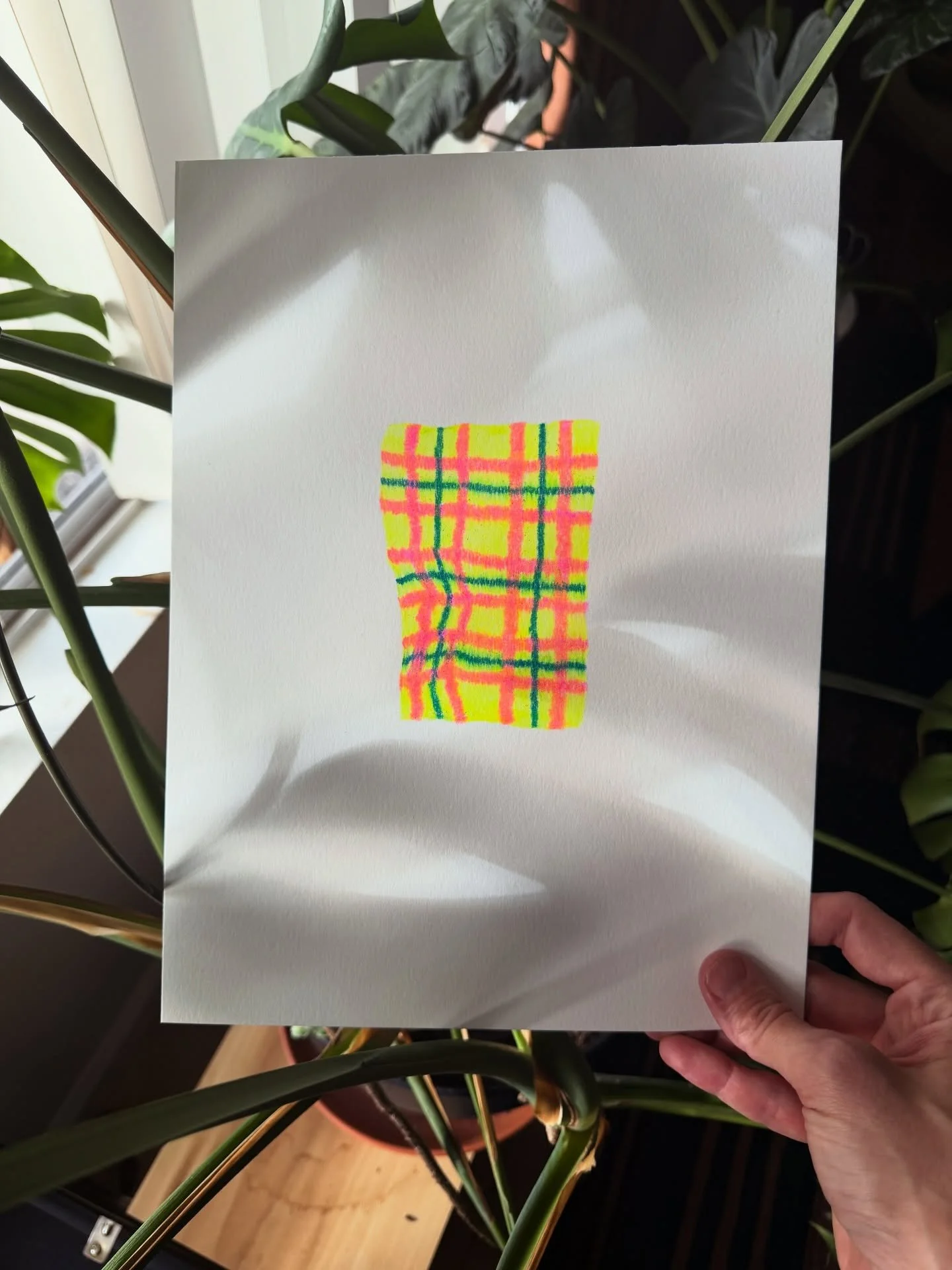 Sunday afternoon drawings with the real life versions of those photoshopped plant shadows on mock-ups. Warm blankets for my friends under feet of snow right now ❄️ Swipe for my studio assistant. #coloredpencil #artistsofinsta #fineart #drawing #artis