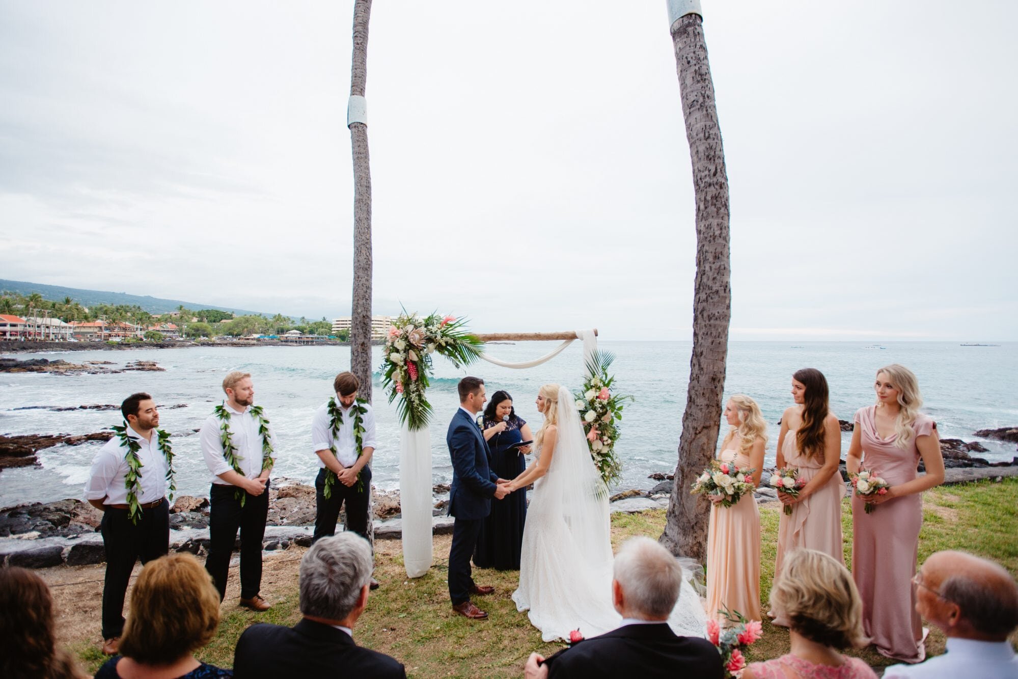 kona-wedding-alpaca-hawaii-1.jpg