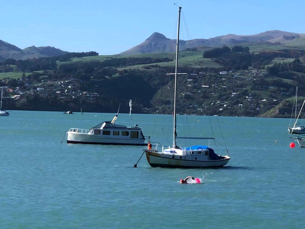 Cass Bay NZ.JPG