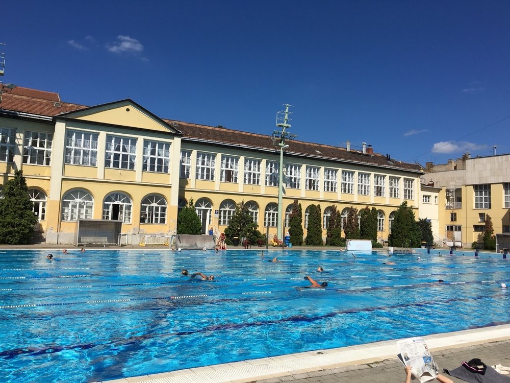 Budapest pool.jpg