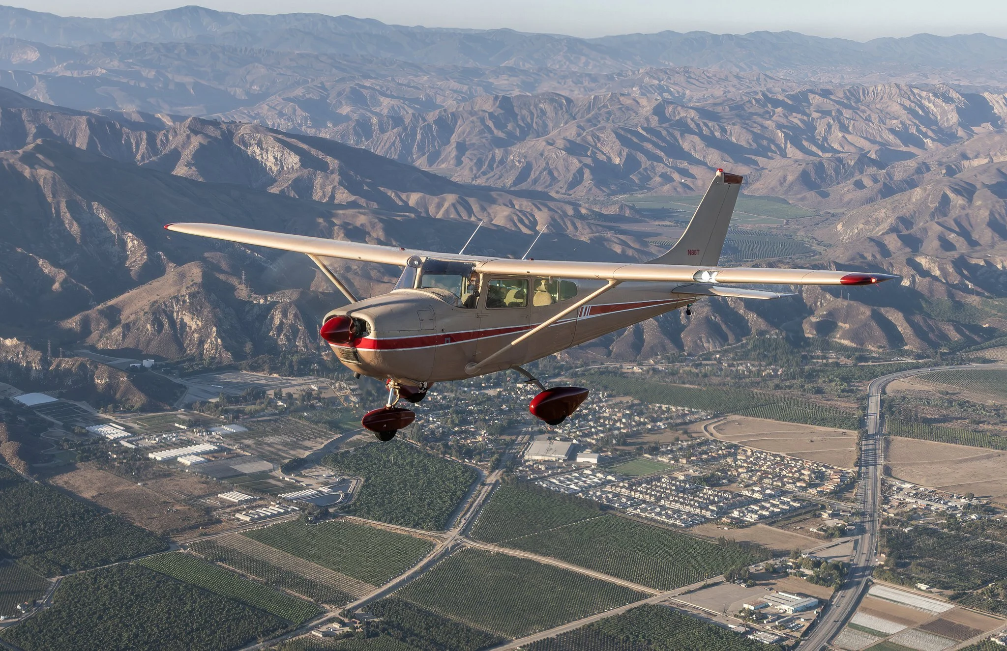 New tail _ 296A0107_Sharpen Strong_Face Recovery V3.jpg
