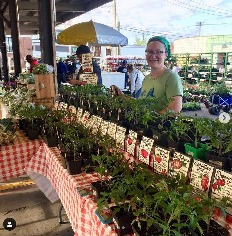 It's that time of year again! Come buy transplants from us at @easternmarket  this Saturday in Shed 4. We'll have tomatoes, peppers, eggplants, and more. There might even be a little produce for sale. #GrownInDetroit #CooperativelyGrown #HeirloomToma