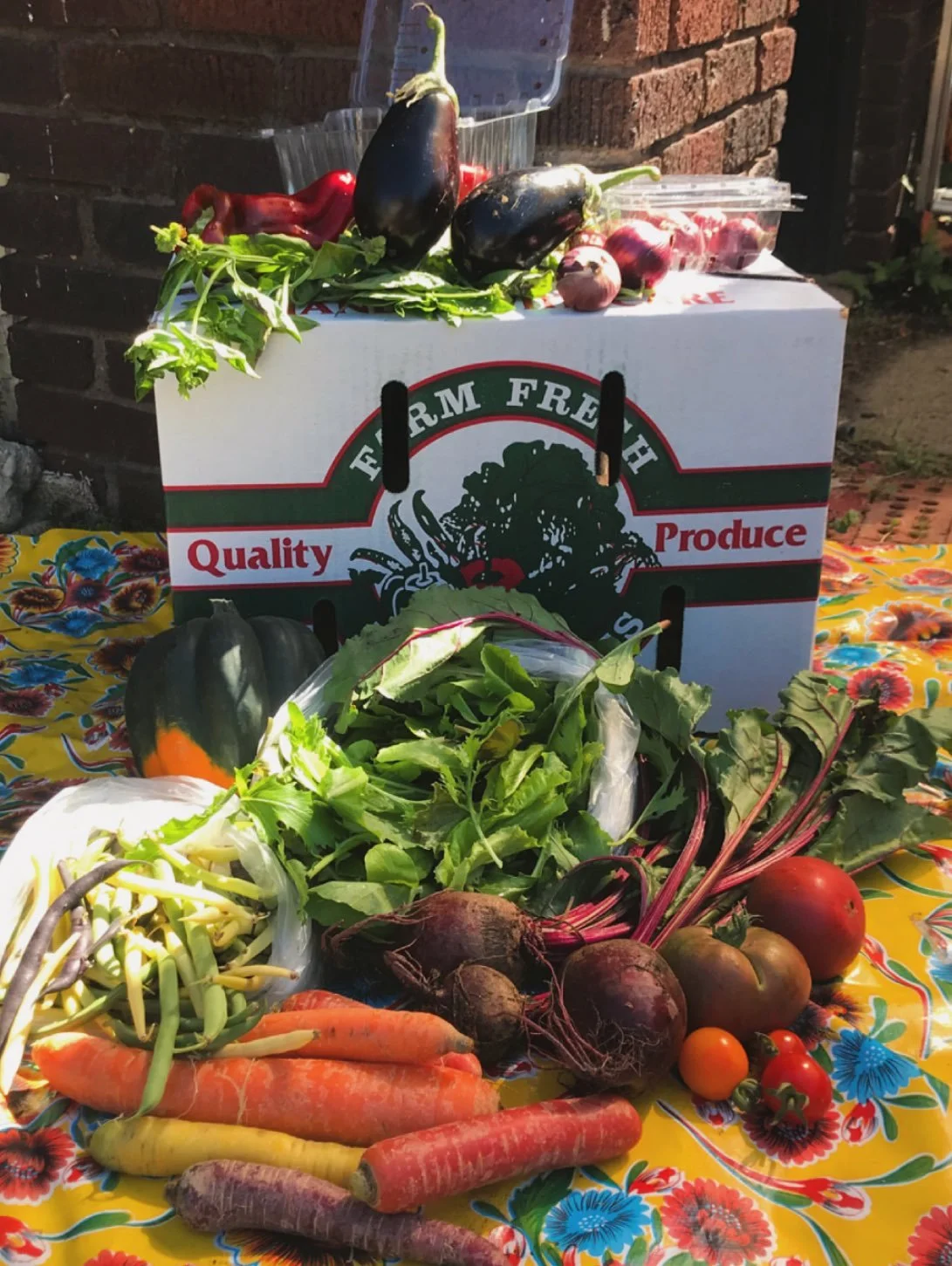 There&rsquo;s so much abundance coming out of our farms this week! 
Here&rsquo;s a peak at this week&rsquo;s Farmers&rsquo; Choice Box 🧅🌶🥕🍅🥬

Included in this week&rsquo;s box: Acorn Squash, Salad Greens, Basil, Carrots, Beans, Shallots, Tomatoe