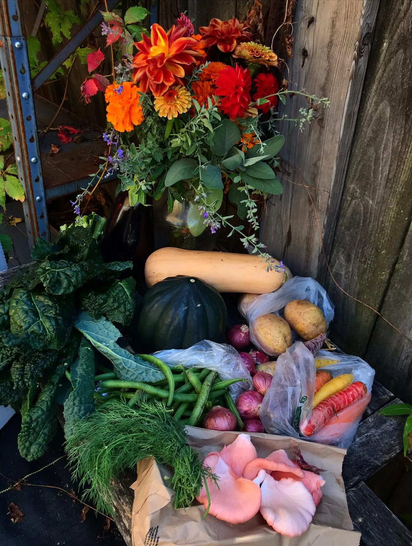 Here&rsquo;s a peak at this week&rsquo;s Farmers&rsquo; Choice Box and Bouquet Share!

Included in this week&rsquo;s box: Acorn Squash, Butternut Squash, Oyster Mushrooms, Carrots, Shallots, Dill, Kale, Potatoes and Green Beans 

#citycommonscsa #far