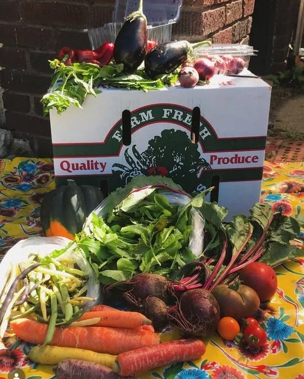 Does your new years resolution involve eating more veggies? Or maybe shrinking your carbon footprint? Or lowing your cholesterol by getting more fiber? Or maybe you just need more beauty in your life?

Sign ups for our 2026 CSA Subscriptions are live