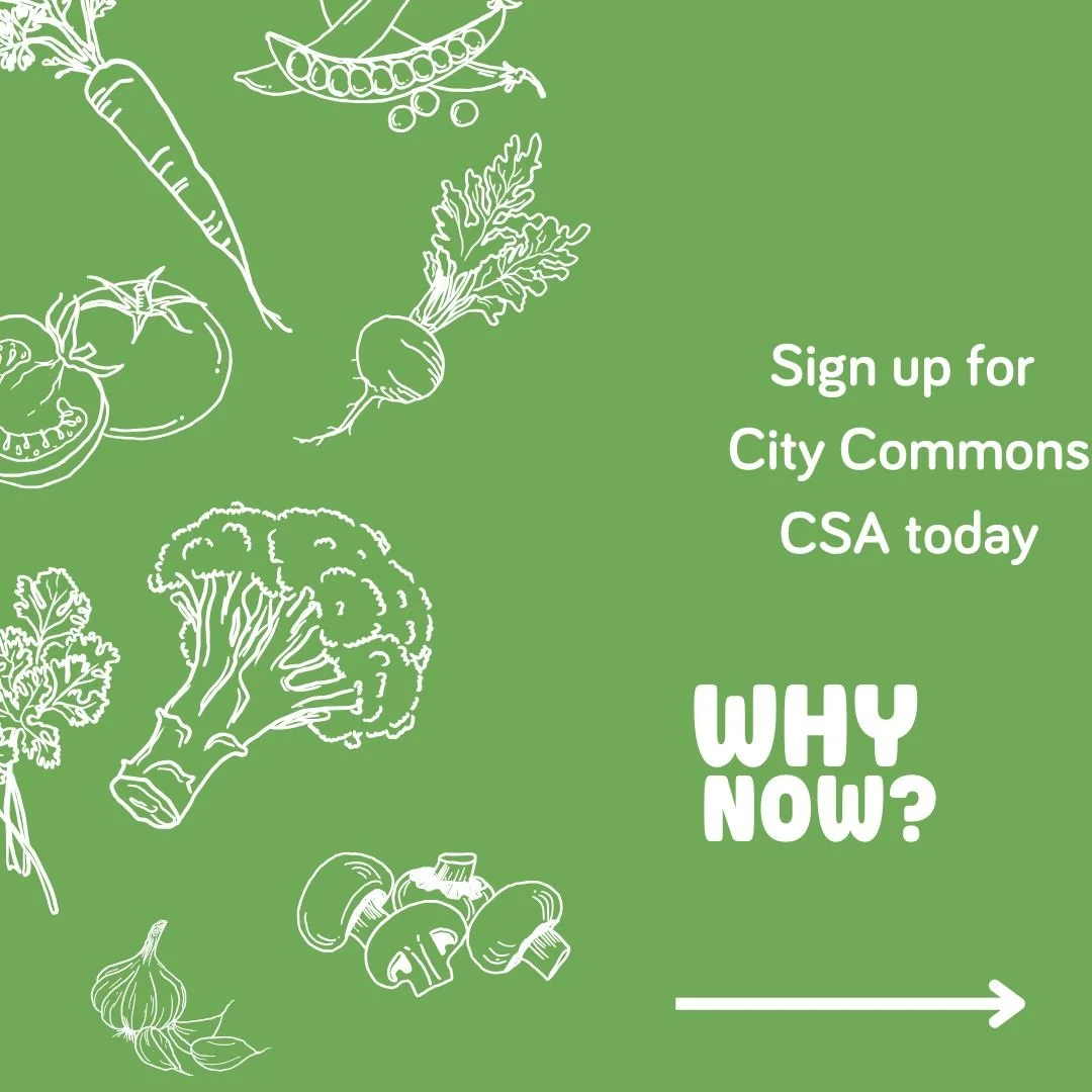 Learn more about why signing up for a 2026 CSA subscription is great for you, your family, and community!
@alice.bagley @sanctuary.farms @cornwineoil_42n83w @shegrowz @candiwallace68 @bloomtown.detroit @adamahfarmcdc #grownindetroit #cooperativelygro