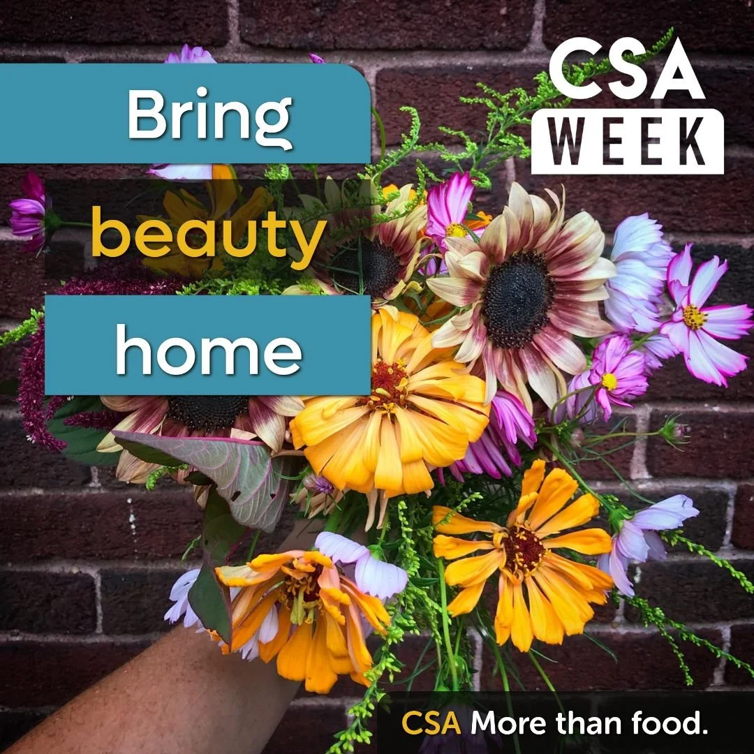 While we spend a lot of time talking about our veggies, we can't forget to shout out our Flower share as well! Our member farm @bloomtown.detroit  grows exclusively flowers, but a lot of our veggie farmers also include them for beauty and beneficial 