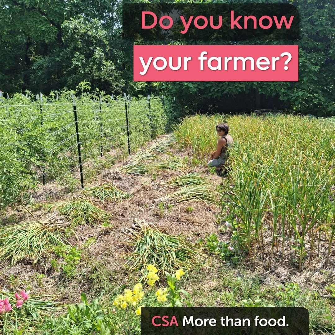 City Commons is a cooperative, meaning that we are owned by our member farms, and when you join our CSA you support several farms, not just one. We are going to take some time over the next couple weeks to spotlight some of our great farmers! And we 