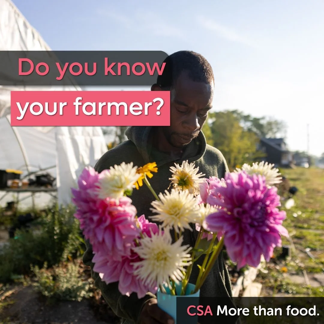 City Commons is a cooperative, meaning that we are owned by our member farms, and when you join our CSA you support several farms, not just one. We are going to take some time over the next couple weeks to spotlight some of our great farmers! 
Donnie