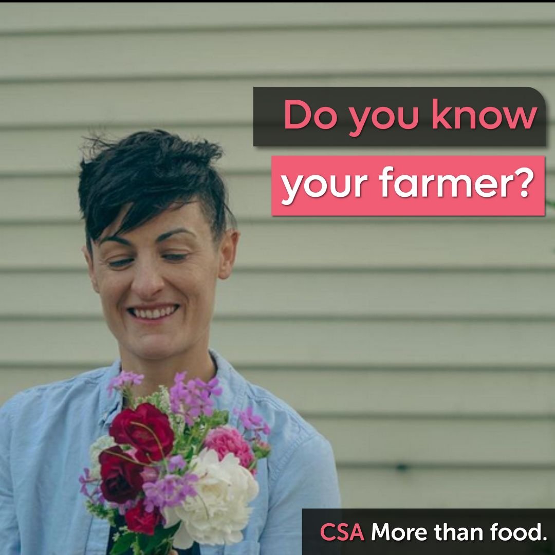 City Commons is a cooperative, meaning that we are owned by our member farms, and when you join our CSA you support several farms, not just one. We are going to take some time over the next couple weeks to spotlight some of our great farmers!
Lis is 