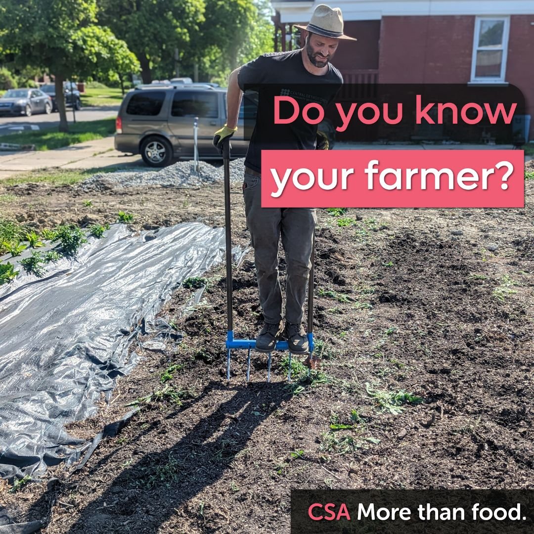 City Commons is a cooperative, meaning that we are owned by our member farms, and when you join our CSA you support several farms, not just one. We are going to take some time over the next couple weeks to spotlight some of our great farmers! 
Adamah