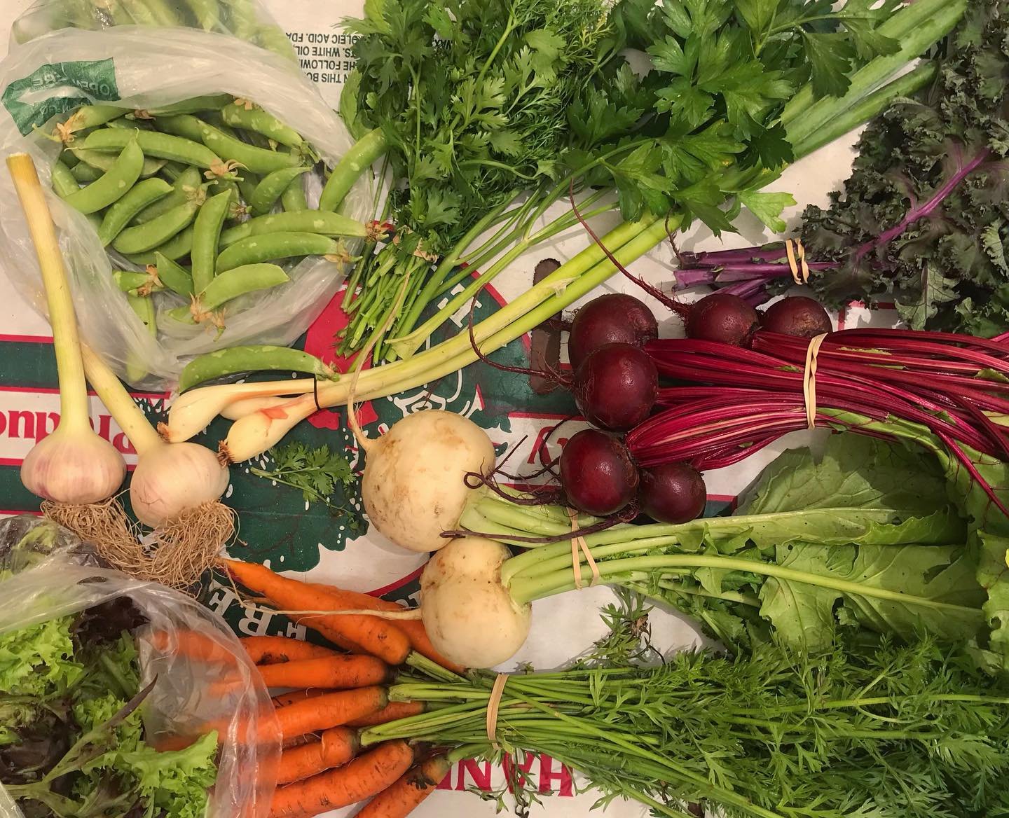 It is bitter cold outside, but our farmers are already laying the foundaiton of the coming CSA season. Seed orders have been made, hiring for farm hands, and all the other work that makes 20+ weeks worth of flower and vegetables possible. 
Here are s