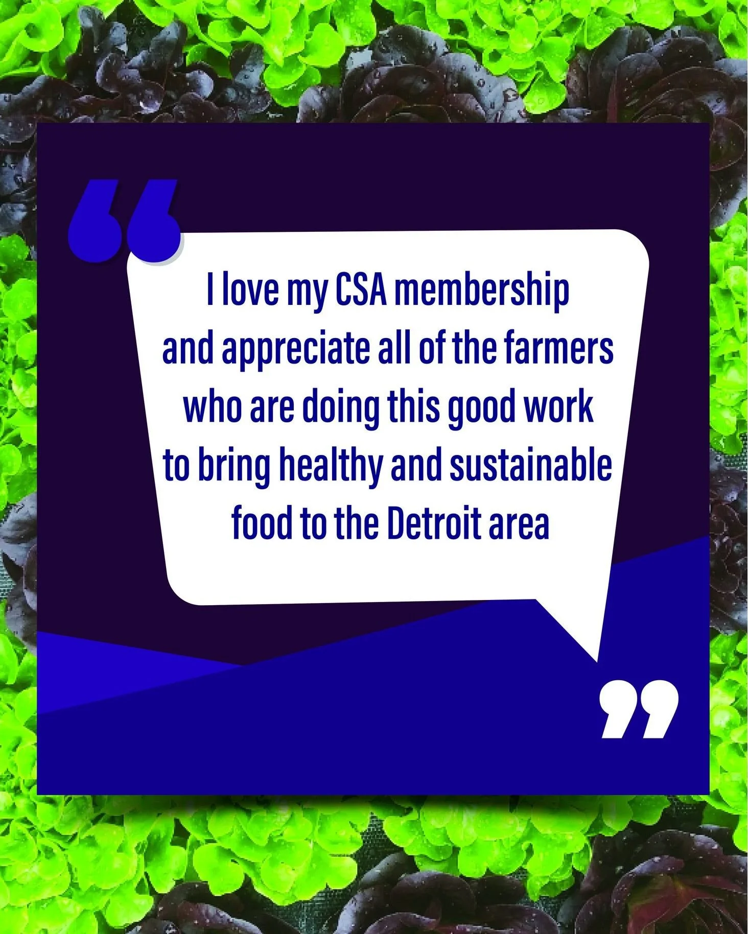 CSA stands for Community Supported Agriculture. While we usually think of that support as financial, we are also supported by the great feedback
we get from our members! We love doing this work and know that when our neighborhoods and environment are