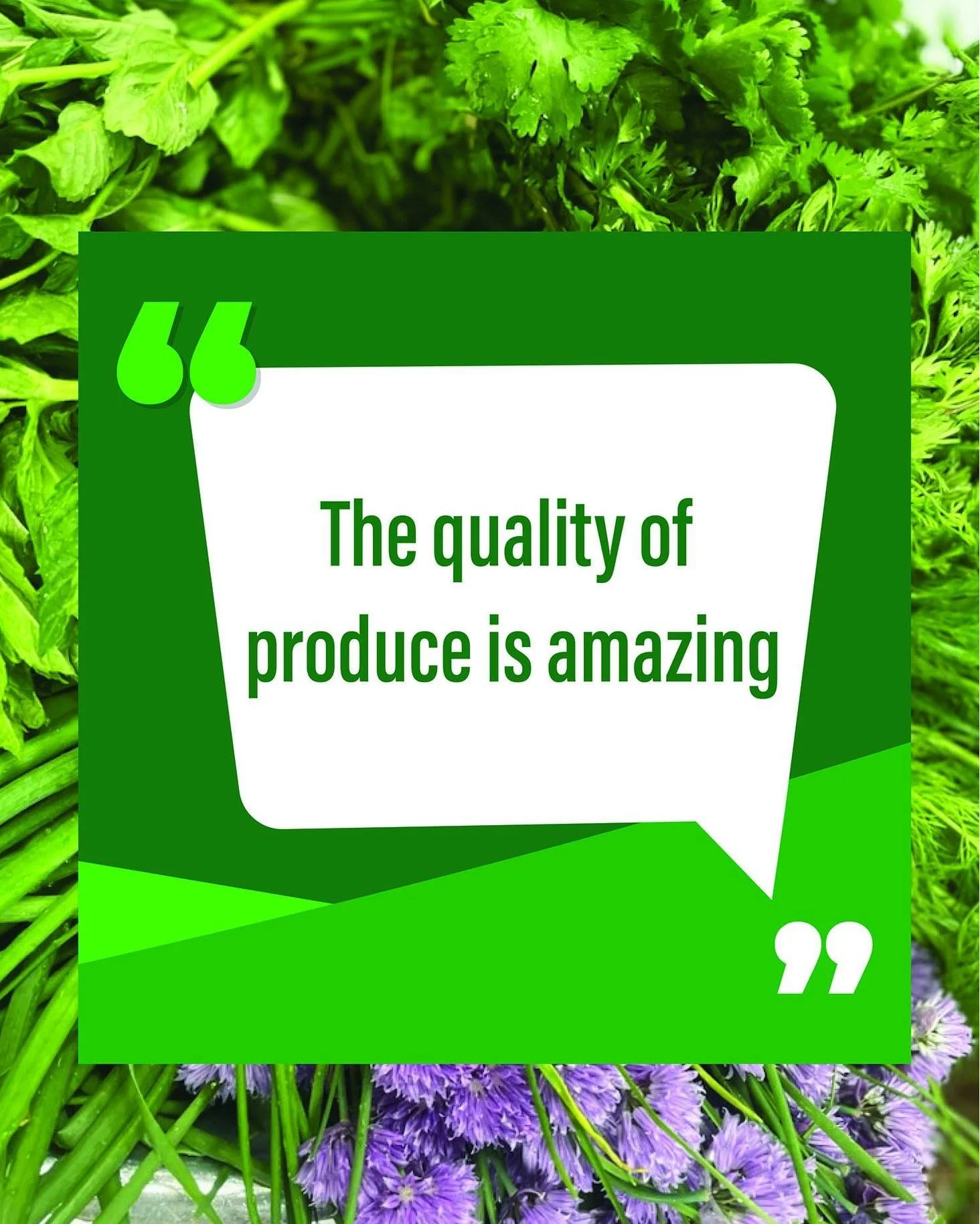 CSA stands for Community Supported Agriculture. While we usually think of that support as financial, we are also supported by the great feedback we get from our members! While supporting local farmers and sustainable practices is important, if the pr