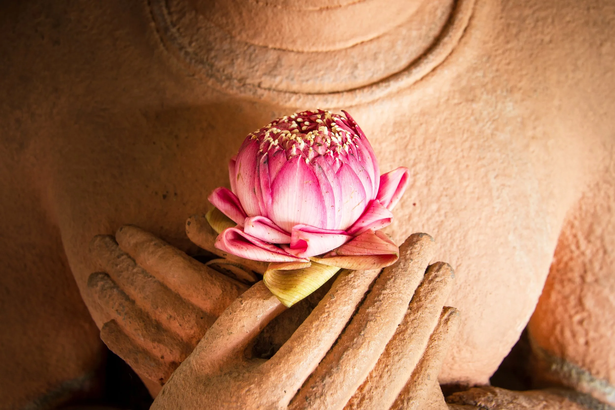 Taking the Seat of the Buddha: Freeing the Mind