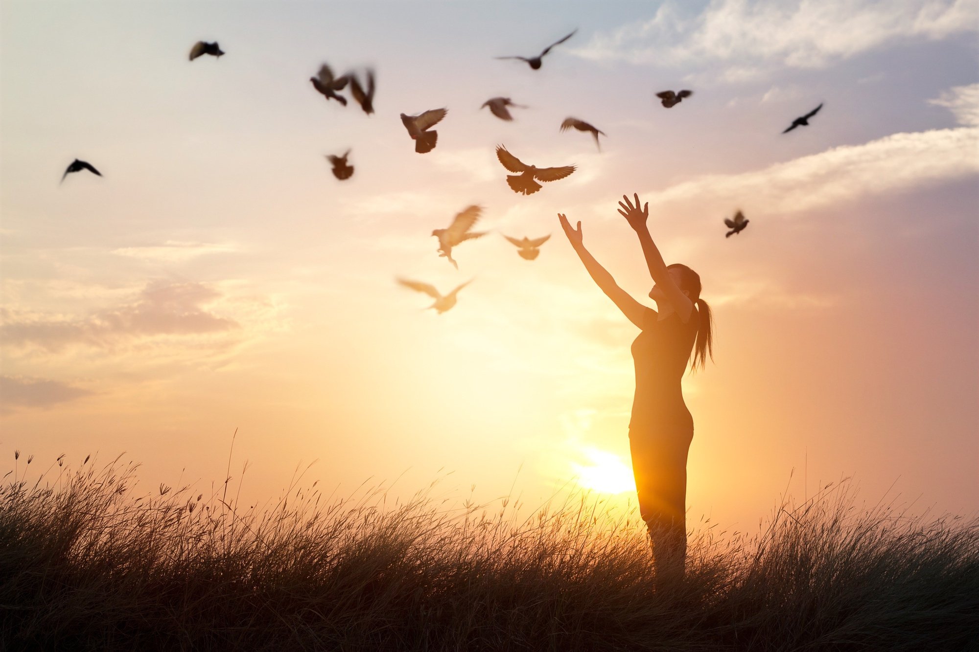 How Do You Know You Have Healed? A Reflection on Forgiveness, Awareness, and Letting Go