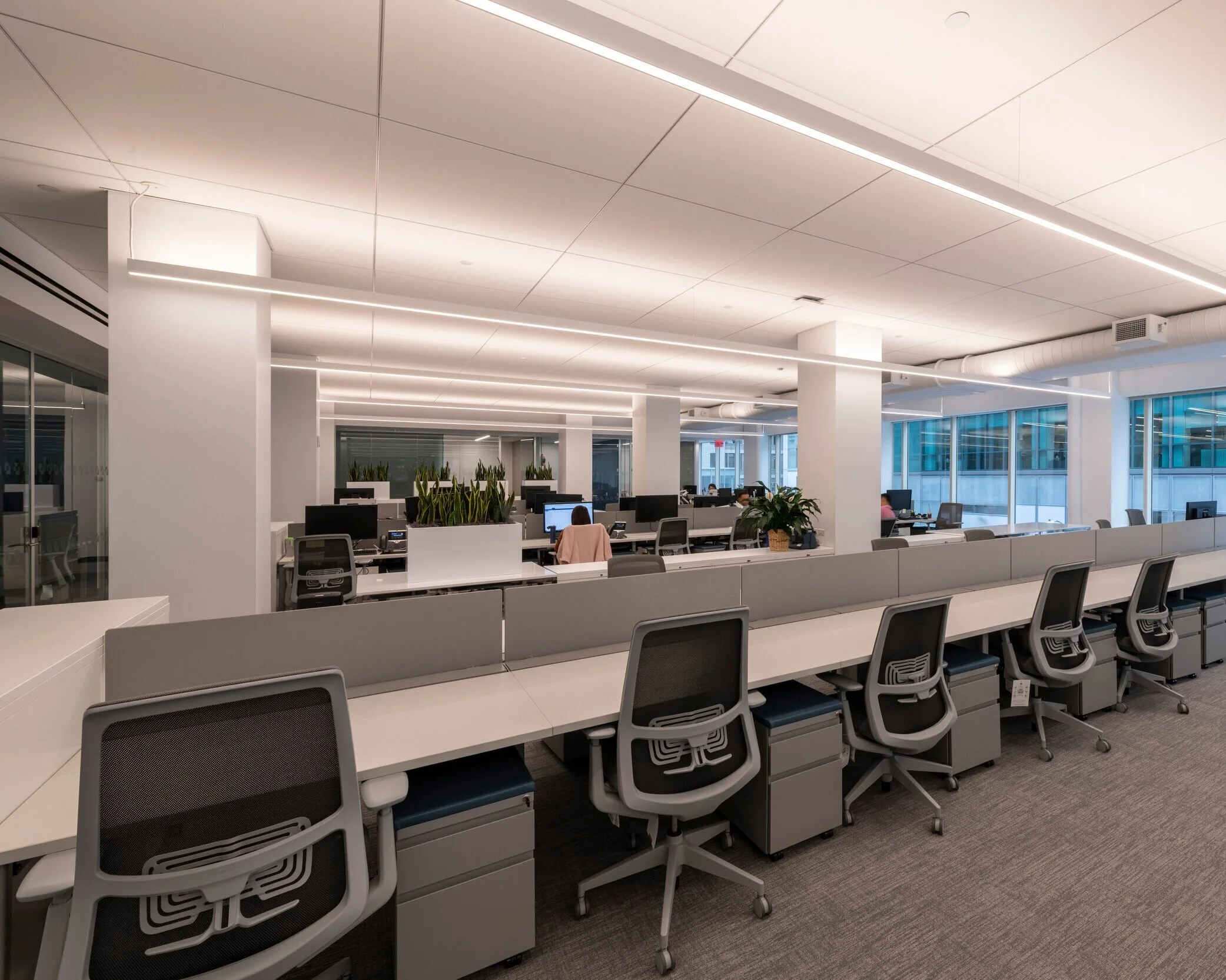 Piermont Bank — Kira Hajosch