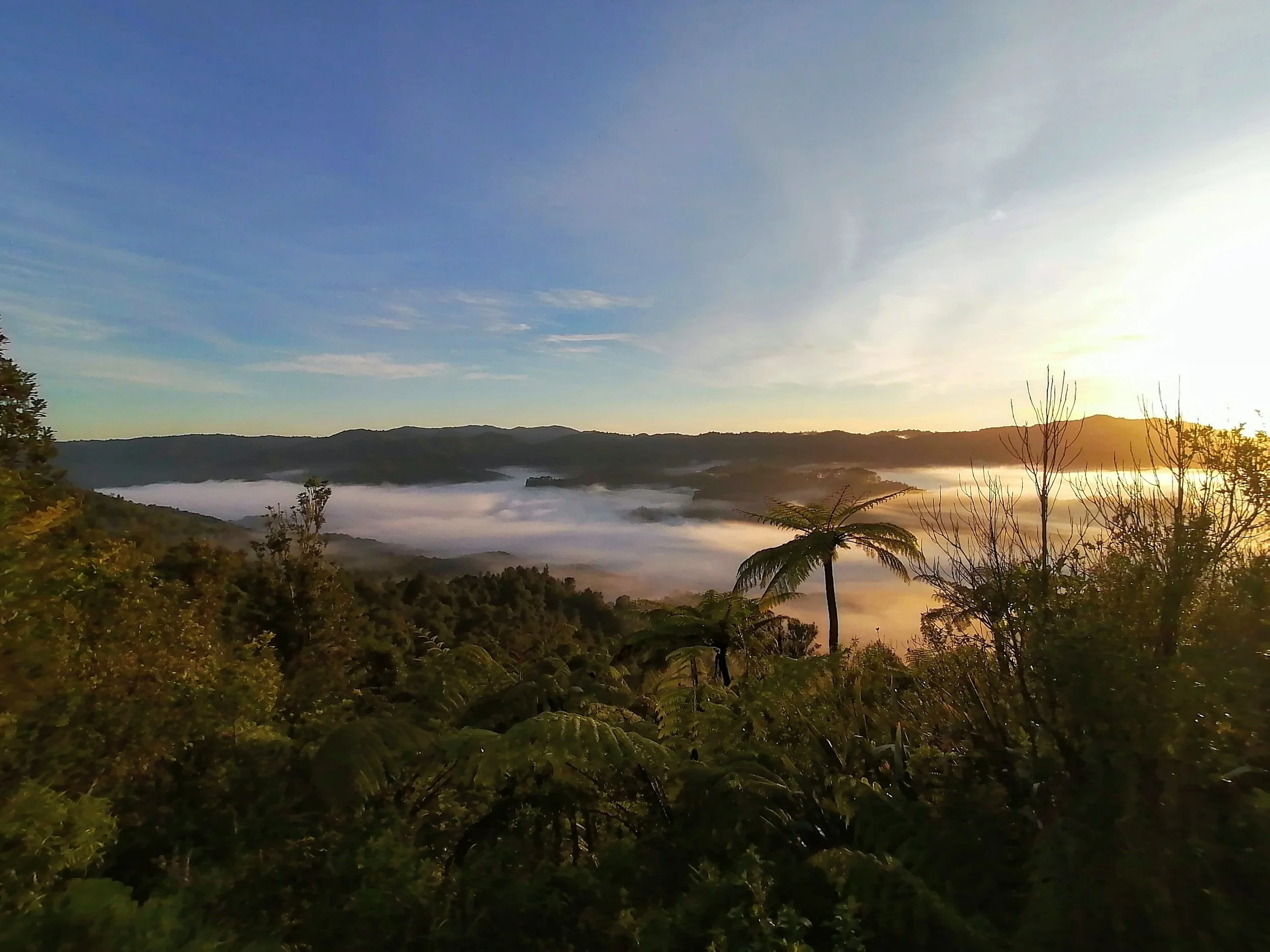Challenge sunrise.jpg