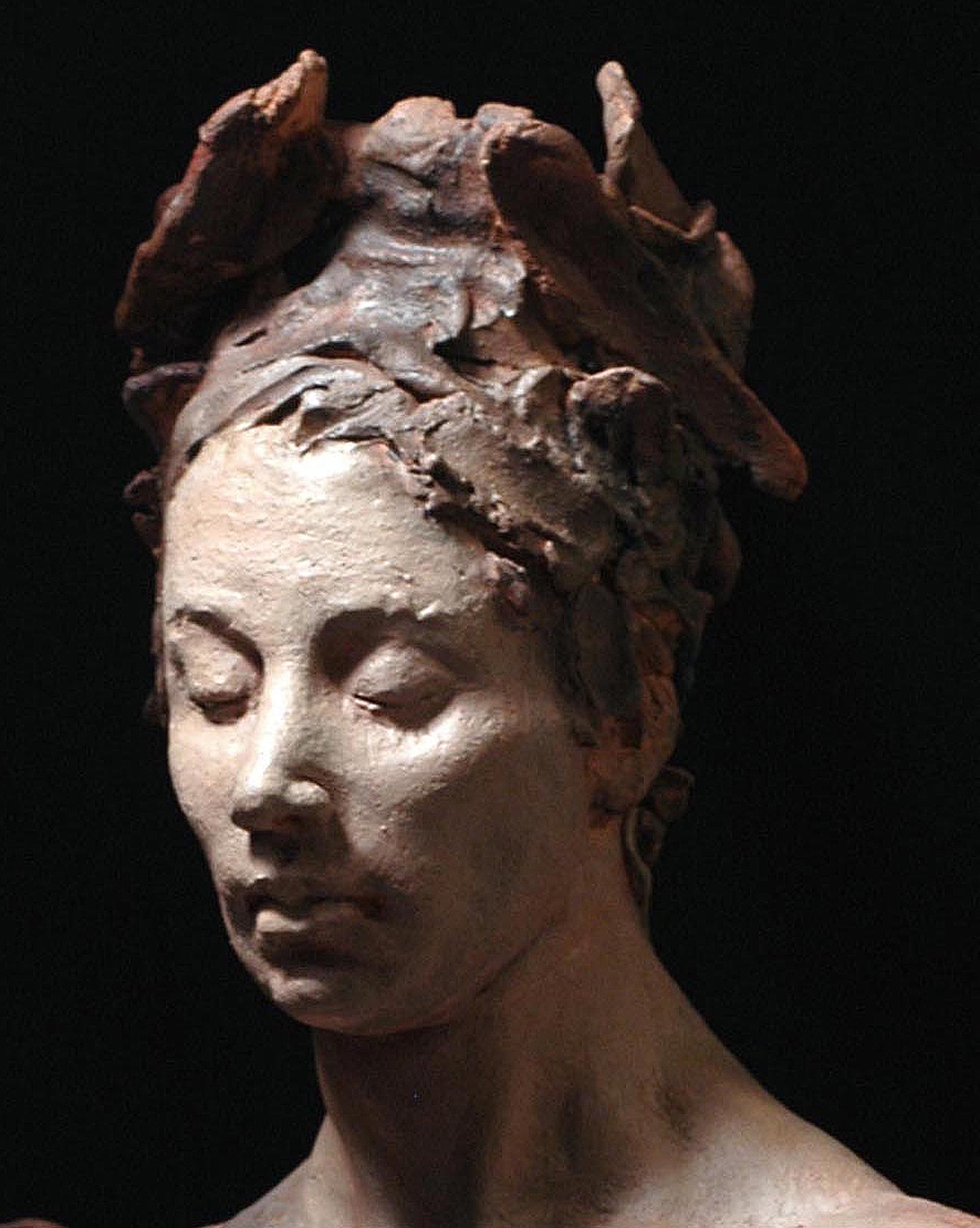 Silence of No_fig2 det.jpg