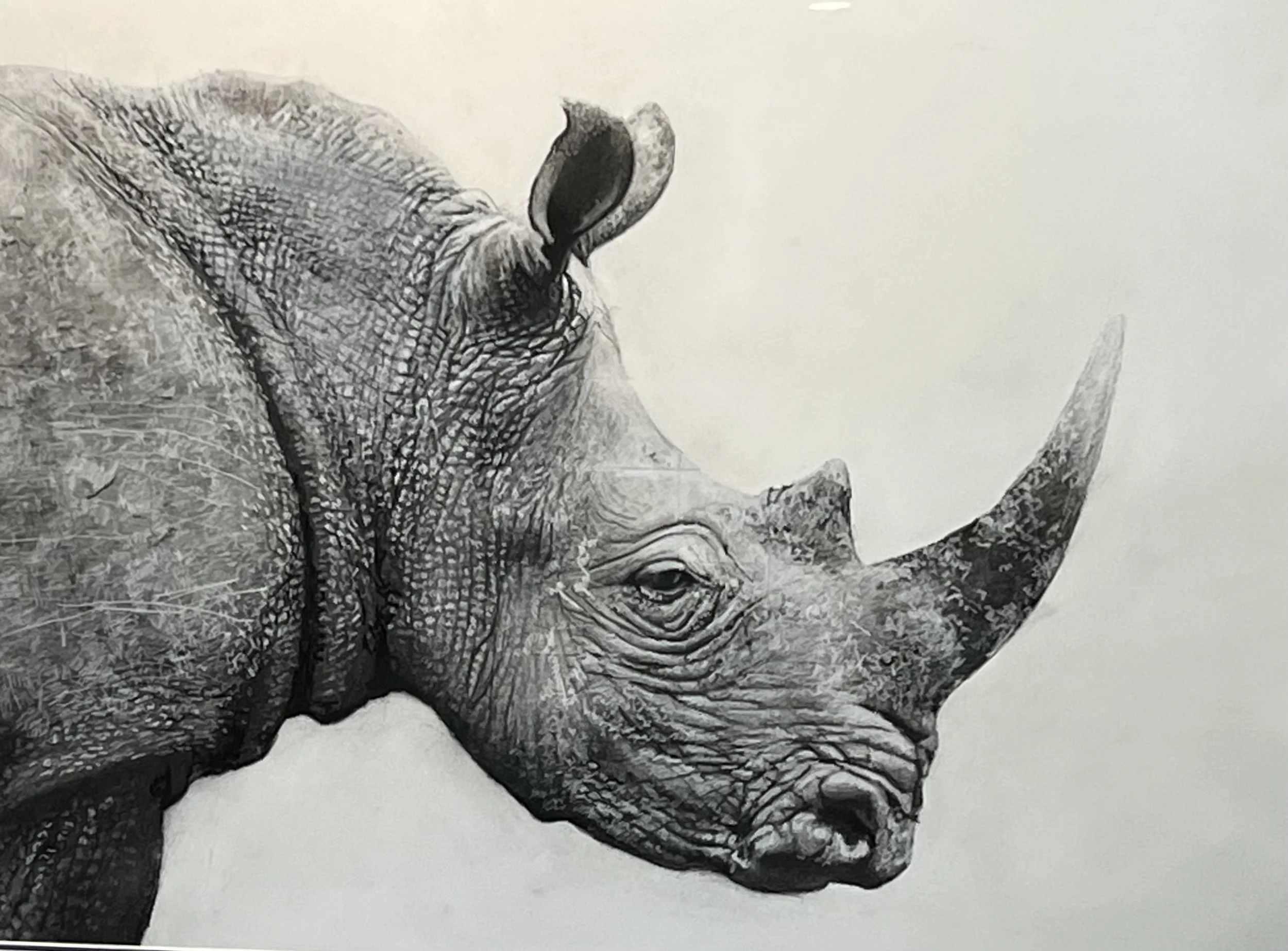IMG_9986.jpeg