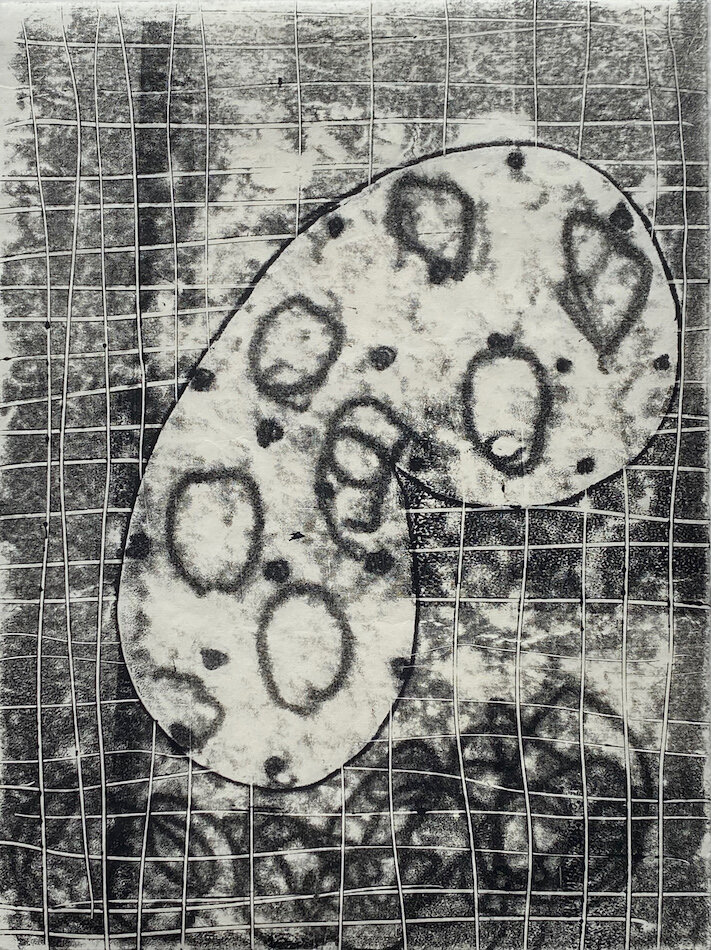  Monotype  12 x 9” Okawara paper 