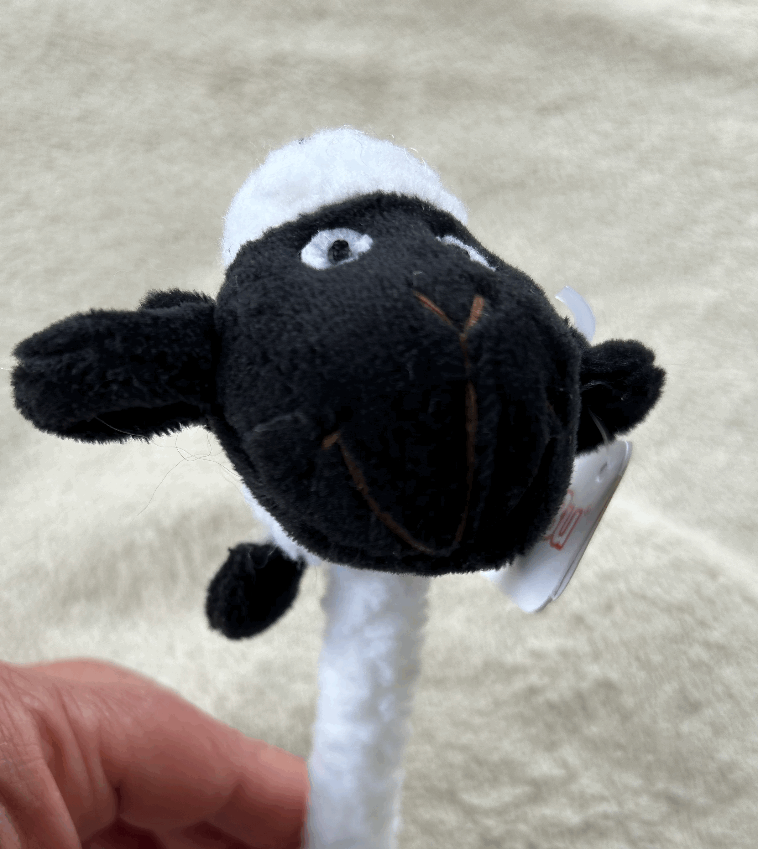 tempImagex7pKcj.gif