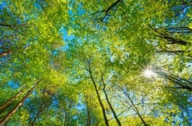 ATAG renews declaration of Climate Crisis