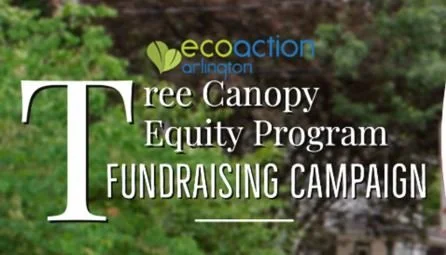 Fundraising Campaign for Tree Canopy Equity