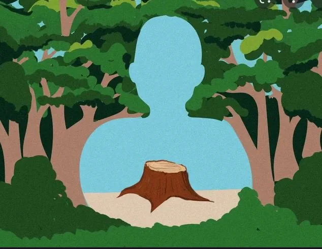 Vitally important! Draft Forestry and Natural Resources Plan now available for review and comment