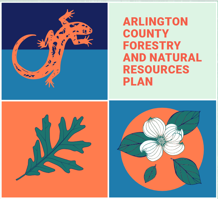 Need Your Comments by 6/30- Draft Forestry &amp; Natural Resources Plan