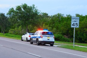 Police car with flashing lights pulled over a white car on the roadside beside a 45 mph speed limit sign, with trees and greenery in the background.