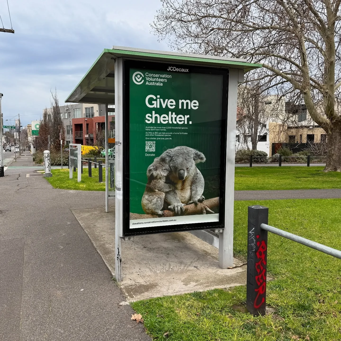 🐨 seek shelter in North Fitzroy. @conservationvolunteers