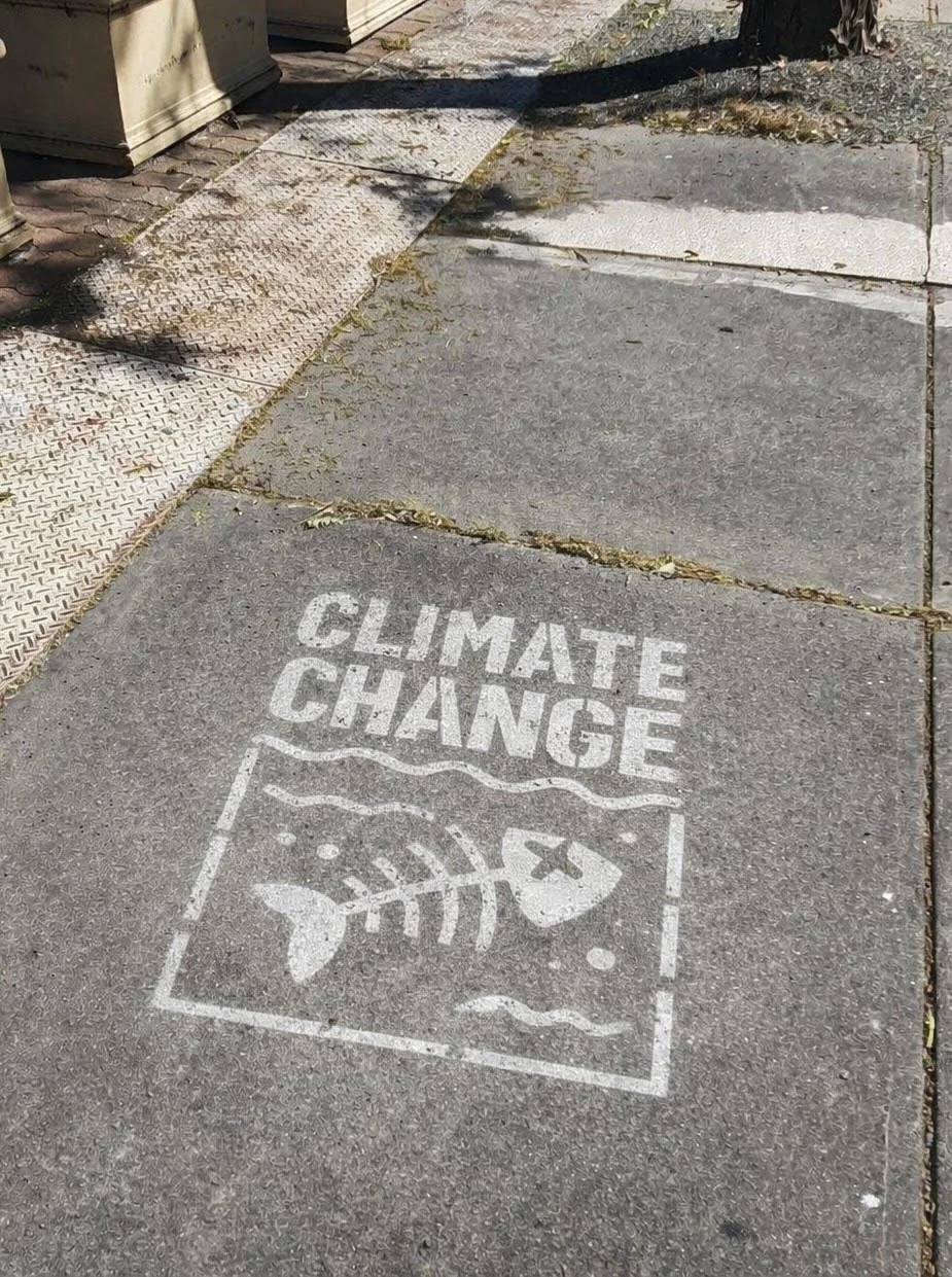A sidewalk with a painted message that reads 'CLIMATE CHANGE' and an image of a fish skeleton with a globe for a body, inside a square outline. The message is on the concrete pavement near a metal grate and a tree trunk.