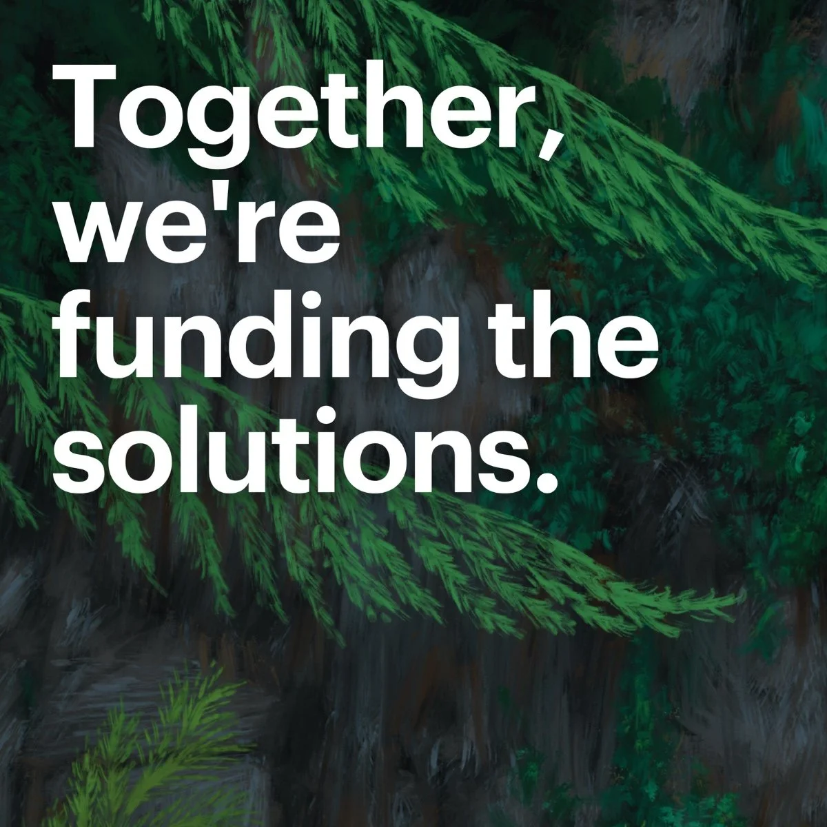 Background of green evergreen branches and tree trunks with white text that reads, 'Together, we're funding the solutions.'