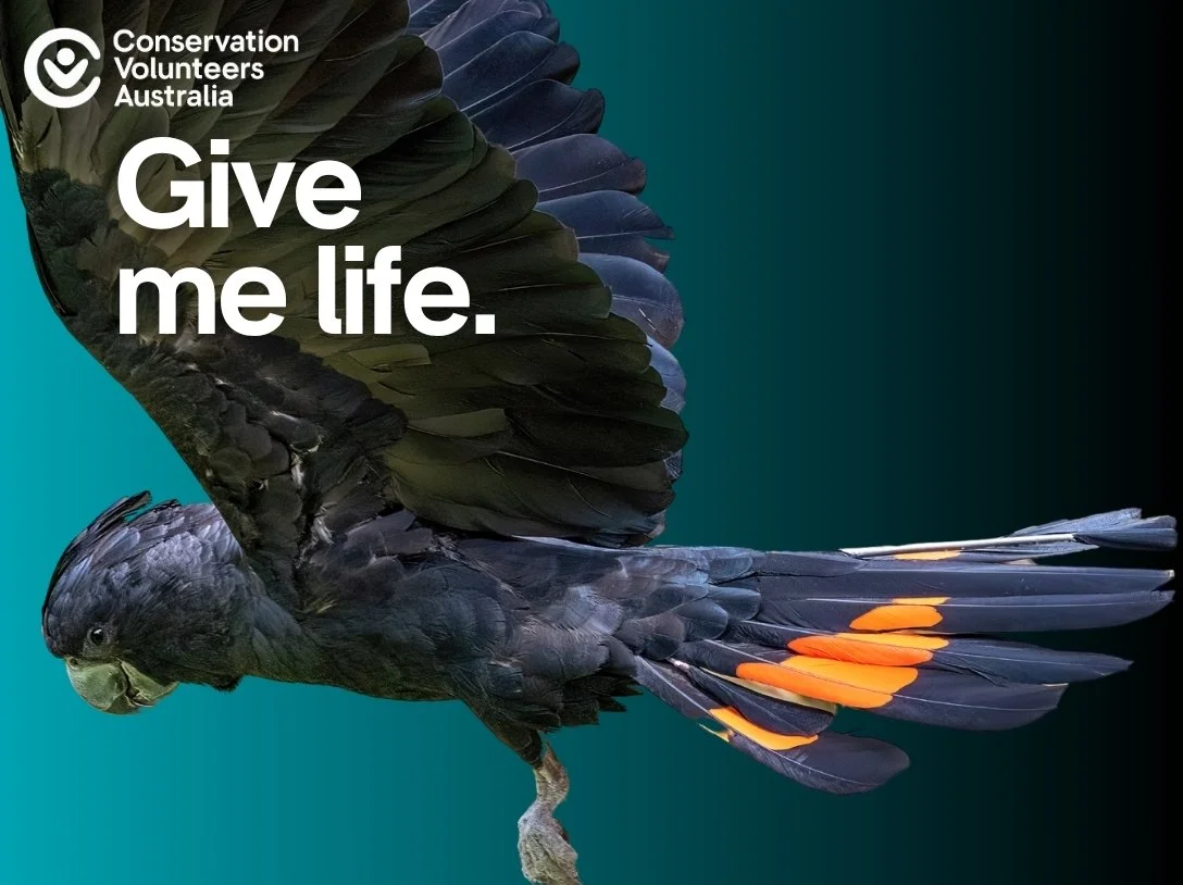 Conservation Volunteers Australia