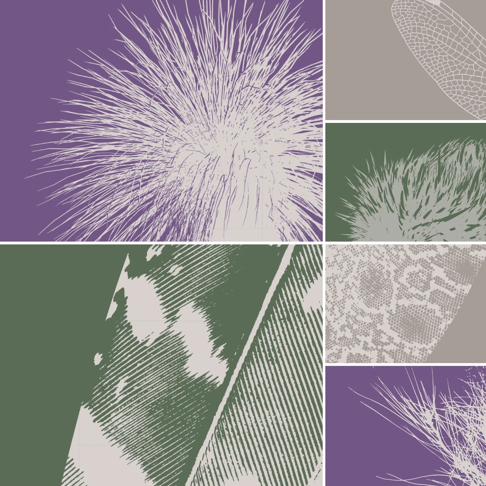 36D34753-9E4E-481D-8441-5445034108EB 2.JPG