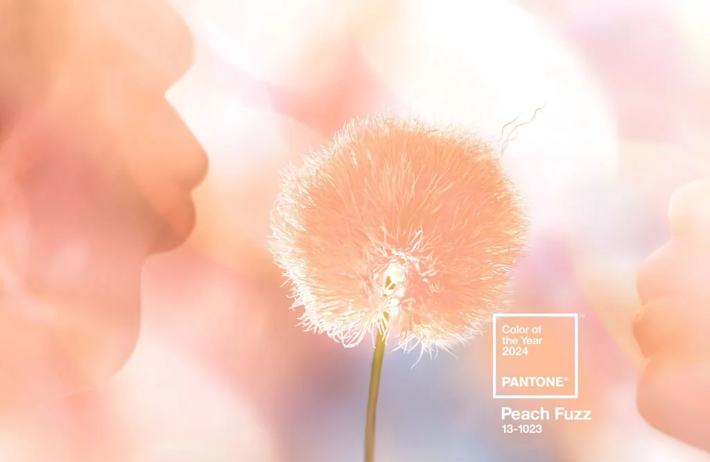 A person about to blow on a fluffy peach-colored dandelion seed head with two other hands holding it, with a soft, pastel background, featuring text indicating Pantone's 2024 Color of the Year, Peach Fuzz.