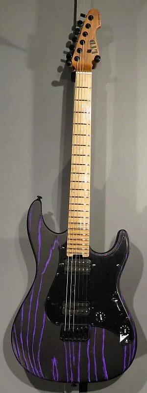 ESP LTD SN-1000HT 2021 Purple Blast 2.jpeg